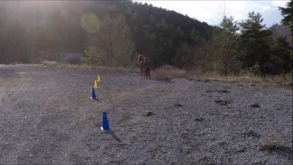 Opaline slalom