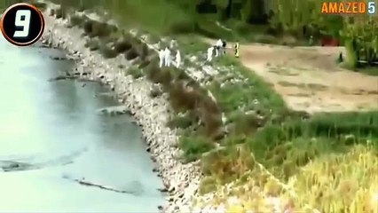 Do you think mermaids are for real Incredible footage here