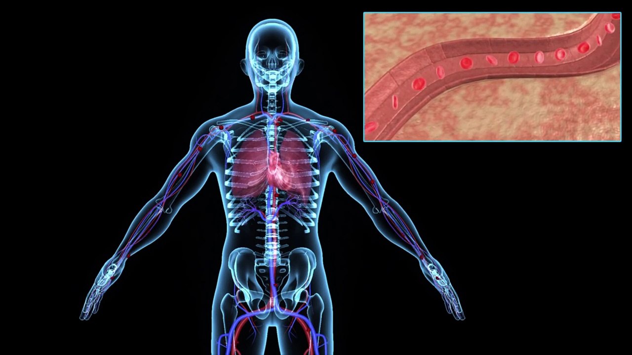 Les smartphones vont révolutionner la médecine et la façon de diagnostiquer et de traiter des maladies chroniques
