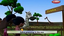 Zebra Prancing In The Zoo | Nursery Rhymes With Lyrics | Nursery Poems | 3D Nursery Rhymes Children