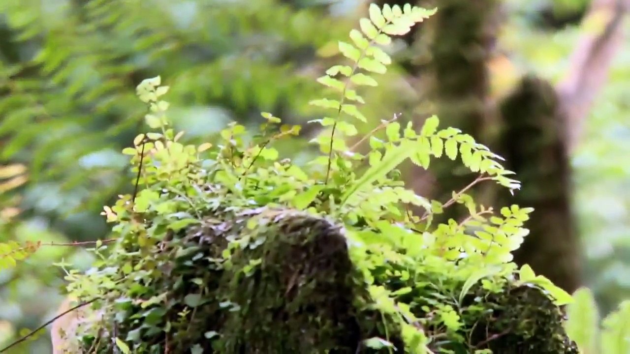 Living Nature - Certified Natural Skincare & Cosmetic Products