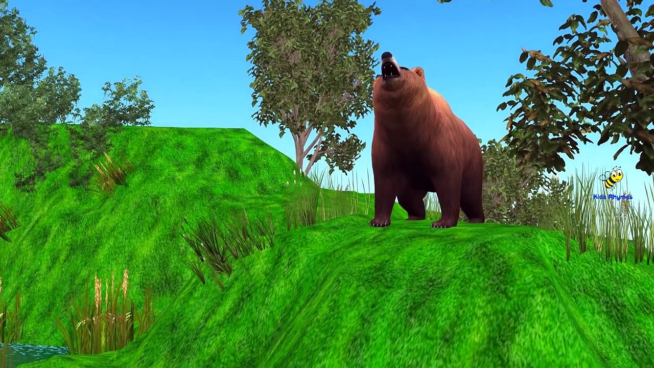 Los tigres del Dedo de la Familia | Con los dibujos animados y Animales Reales | canciones infantiles para los niños