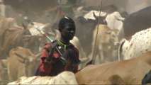 Kenya: Animals killed, ranches razed in herders' invasion