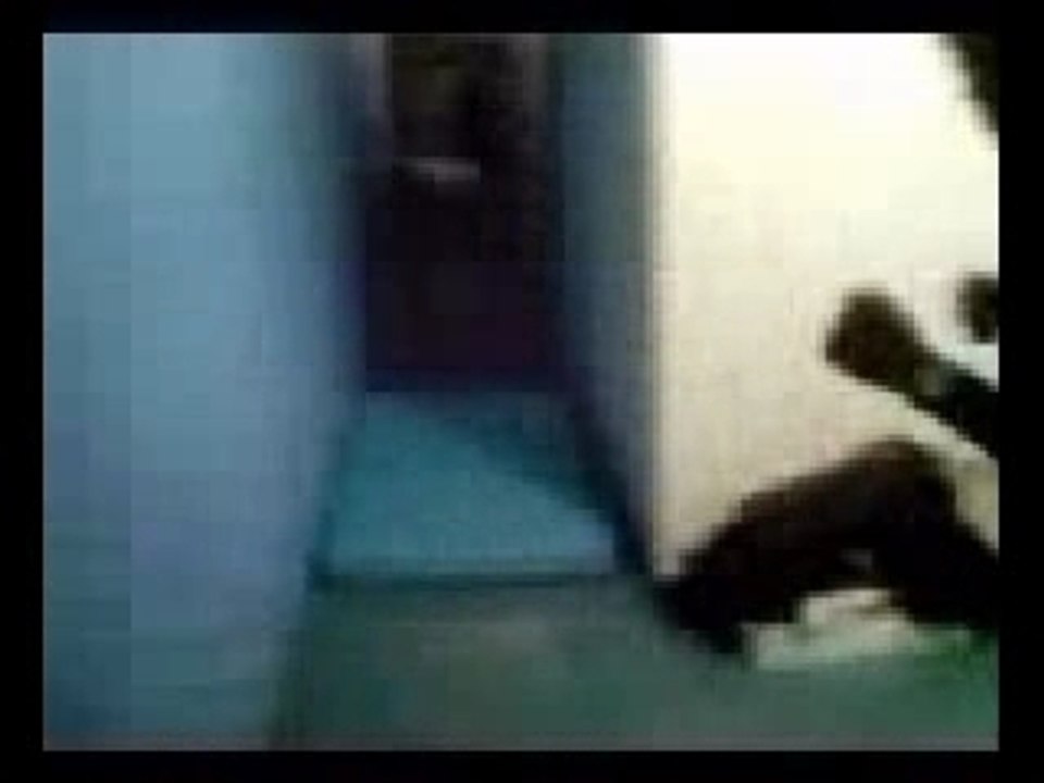 Freestyle mowfler team tome2