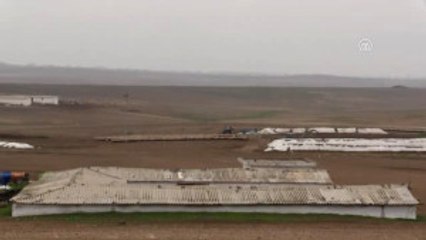 Elit" Kuzulara Özel Bakım