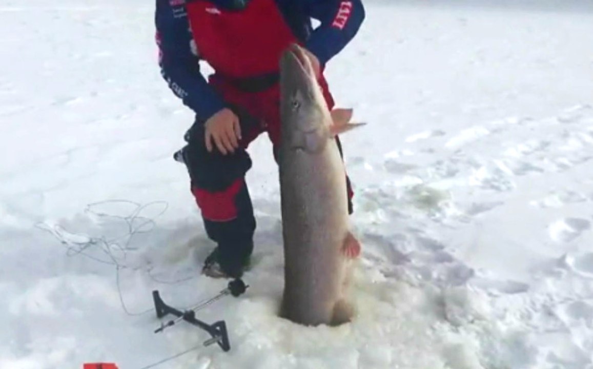 Canadian Ice Fisherman Catches Massive Pike