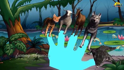 Helicopter Finger Family Nursery english 3d rhymes | Children Animated finger family song