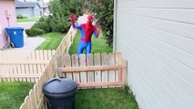 Spiderman vs Black Spiderman - Real Life Superhero Battle _ Boxing Fight-E7oEkT1