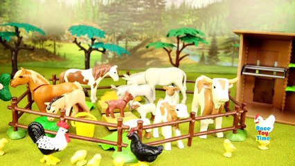 PLAYMOBIL Country Farm Animals Pen and Hen House Building Set Build Review-dGplrNa-