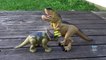 Dinosaur Walking Triceratops Light and Sound - Dinosaurs Toys For Kids-wTqt7