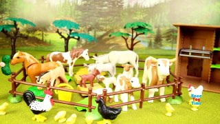 PLAYMOBIL Country Farm Animals Pen and Hen House Building Set Build Review-dGplr