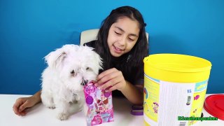 CUTE PUPPY _Teddy_ and I Open Surprise Toys