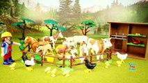 PLAYMOBIL Country Farm Animals Pen and Hen House Building Set Build Review-dGplrNa