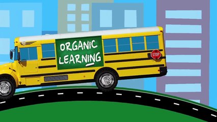 Best Learning Colors and Letters Video for Children Play Doh Xylophone Paw Patrol Cookie Monster-s2uJ