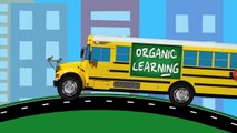 Cars Trucks Street Vehicles Teaching Colors - Learning Colours Video for Children - Organic Lea