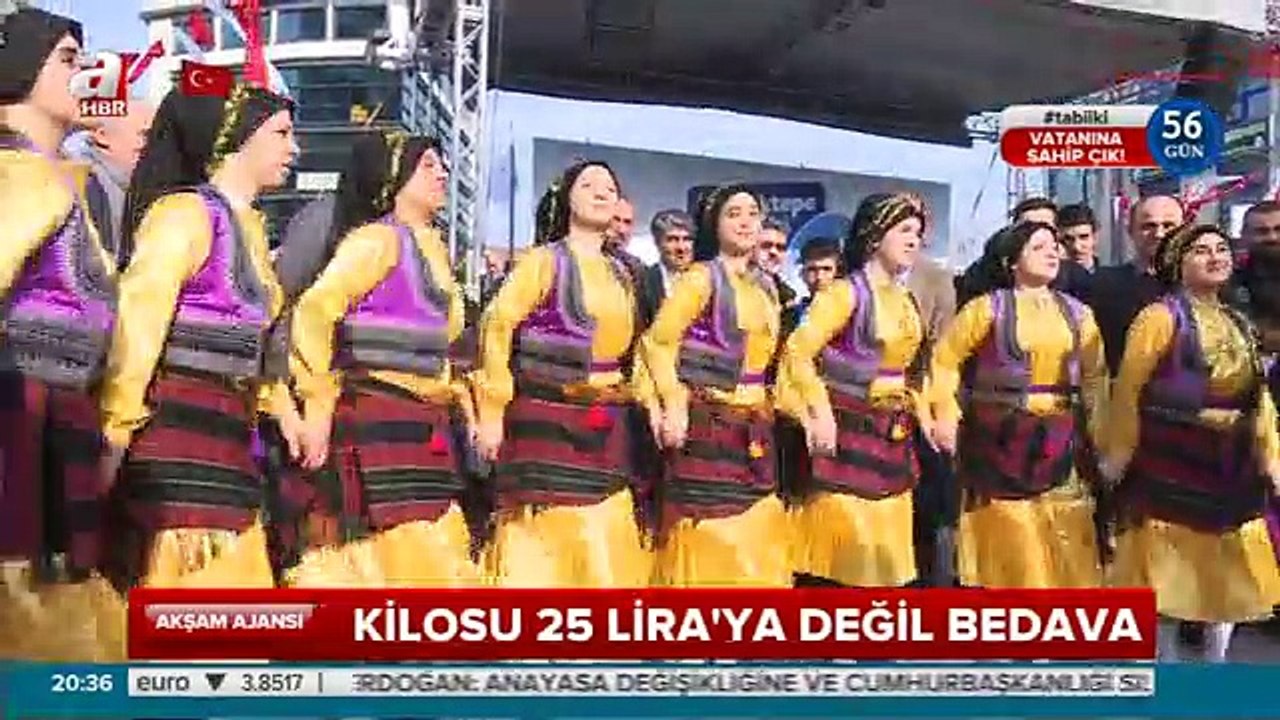 Hamsi Festivali-A Haber