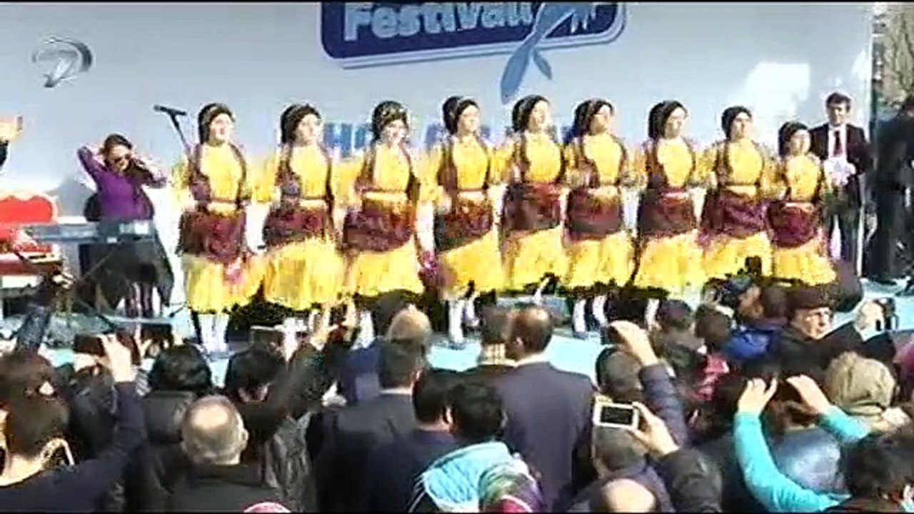 Hamsi Festivali-Kanal 7
