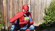 Spidergirl Pranks Spiderman! Bubble Gum Poo Toilet Prank! Bad Baby Joker Spiderbaby Superhero Fun!-LB2lf