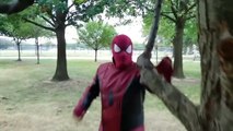 HULK Transforms Into RED HULK w_ SPIDERMAN - Spider-man Last Stand IRL - Superheroes - Marvel-Ie5tHke
