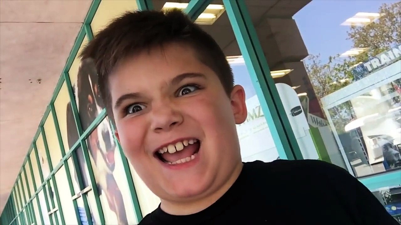 Bugs HobbyMom Prank+Scorpion Spiders Butterfly Fun Hob