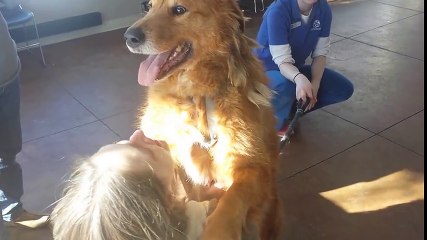Après deux ans de séparation, ce chien retrouve enfin son maître !