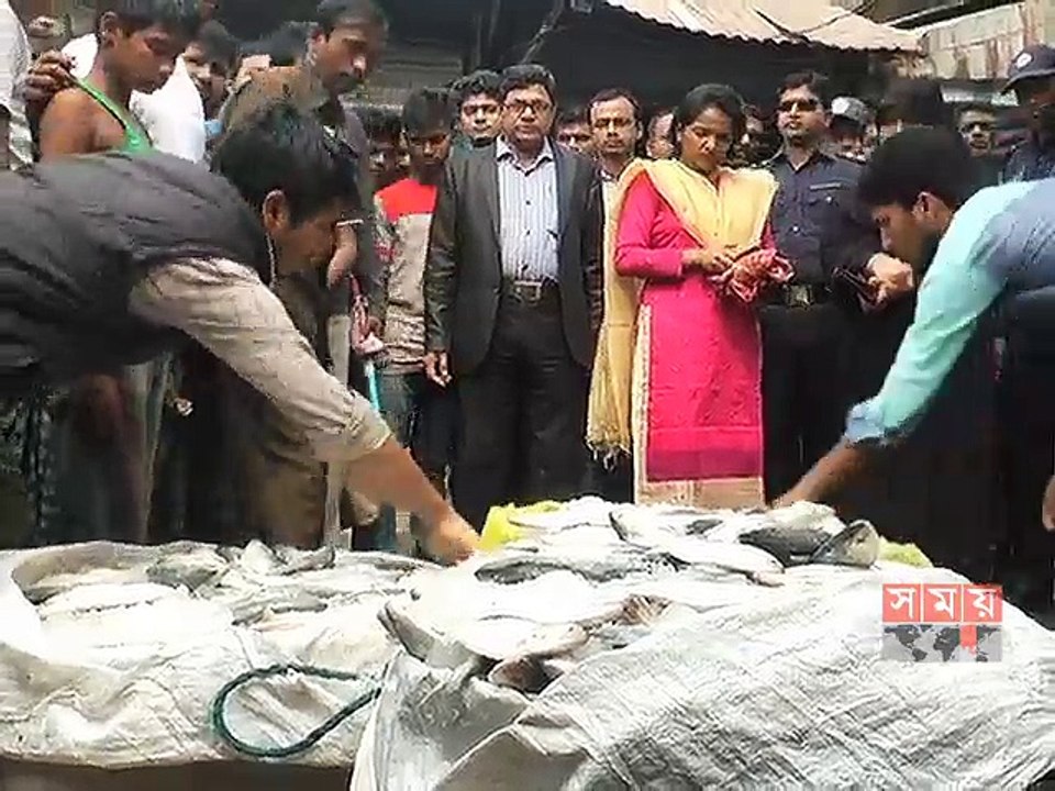 মাদারীপুরে অভিযান চালিয়ে ৪শ' ৮০ কেজি জাটকা জব্দ