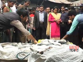 মাদারীপুরে অভিযান চালিয়ে ৪শ' ৮০ কেজি জাটকা জব্দ