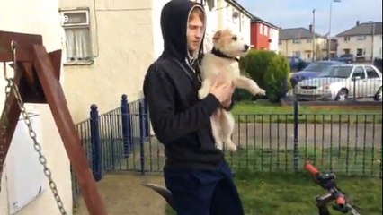 Cute dog gets ride on owner's back