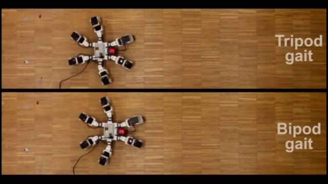 Desarrollan un robot de seis patas más rápido que los insectos