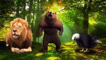 Animals Cartoons Finger Family Children Nursery Rhymes | Animals Finger Family Rhymes for