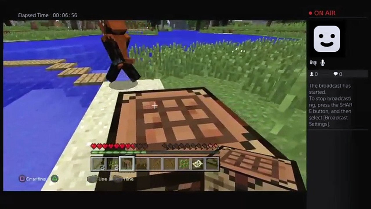 Minecraft series (24)