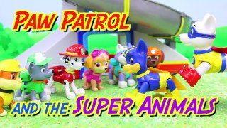 Paw Patrol Super Pups Rescue Superhero Animals with Apollo and Superpup Chase and Dancing Elephant-BGg4sfQT