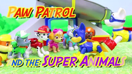 Paw Patrol Super Pups Rescue Superhero Animals with Apollo and Superpup Chase and Dancing Elephant-B