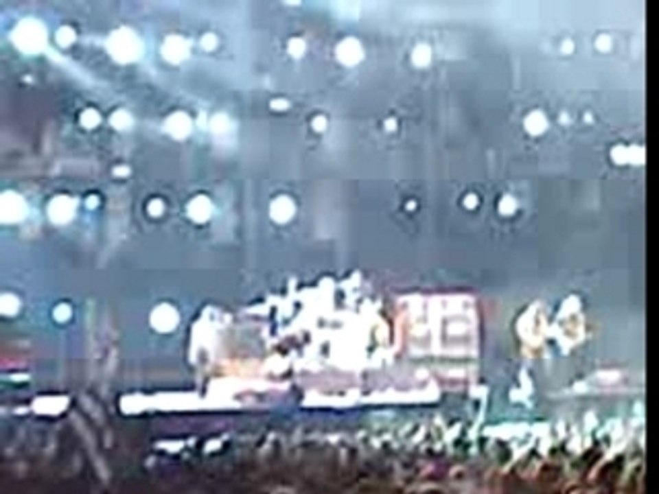 Concert Iggy Pop & the Stooges 2