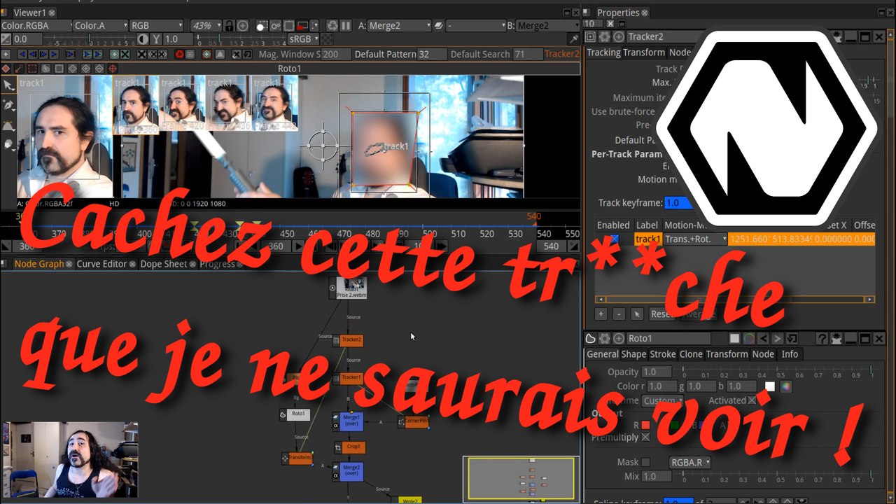 Natron : Masquer les Visages ou Éléments mobiles