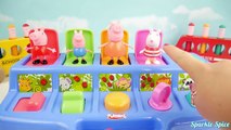 Peppa Pig School Bus Pop Up Surprise Toy Bunny, Paw Patrol, Frozen Mashems Fashems SparkleSpice-ZG