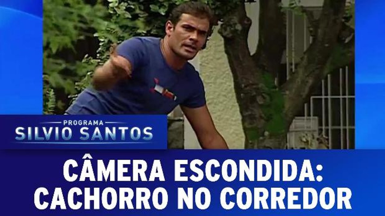 Câmeras Escondidas: Cachorro no Corredor - 19.02.17