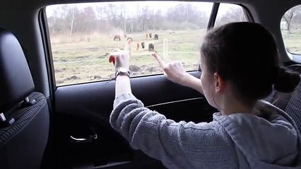 Vitres interactives : concept Toyota !