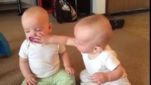 Deux bébés trop mignons se battent pour une tétine