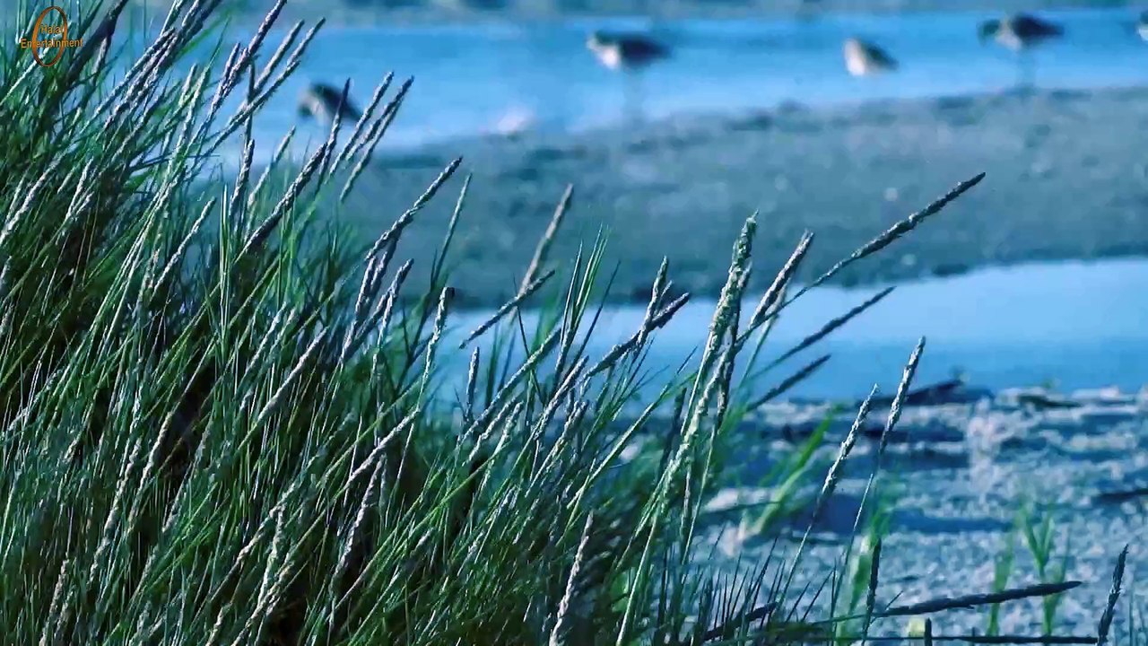 kar name surjo kiron choray- bangla islamc song 2017