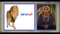 لغة عربية للصف الأول الابتدائي { 4 } الدرس الرابع   بسمة والأسد