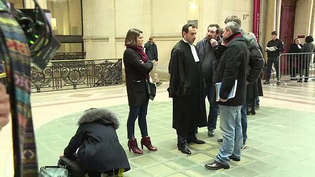 Vol de toiles : 8 ans de prison pour l' «homme-araignée»