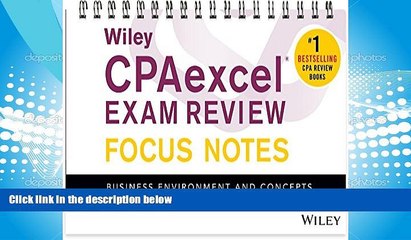 Read Online Wiley CPAexcel Exam Review January 2017 Focus Notes: Business Environment and Concepts