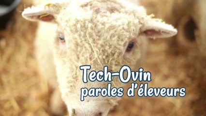 Tech Ovin 2017 - Paroles d'éleveurs (1er épisode)