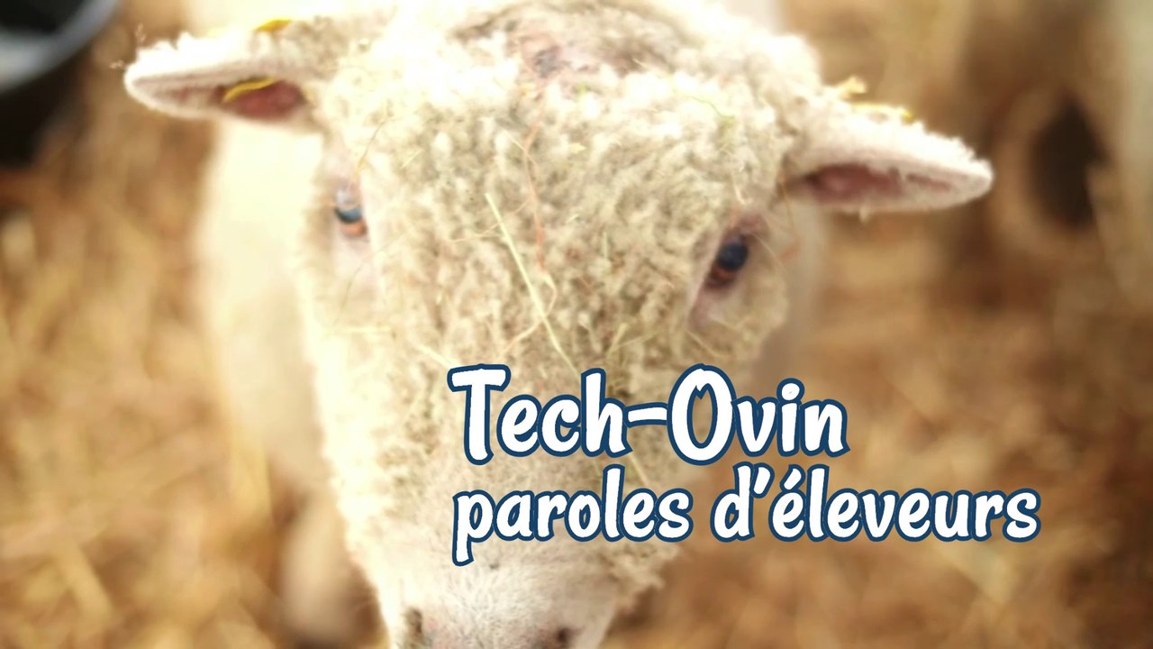 Tech Ovin 2017 - Paroles d'éleveurs (1er épisode)