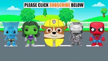 #PAWPATROL APOLLO , SKYE, TRACKER, RYDER, EVEREST, | SKATEBOARD PUPS | SURPRISE EGGS #Anim