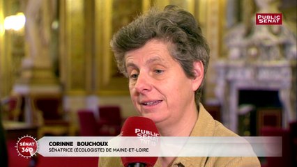 Corinne Bouchoux à propos de la loi sur la fin de vie