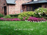 Landscaping star true green scape the beach lawn care Myrtle Beach SC