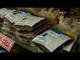 Yana Maunanya Manfaat Sampai Ketersediaan Kantung Darah -NET12