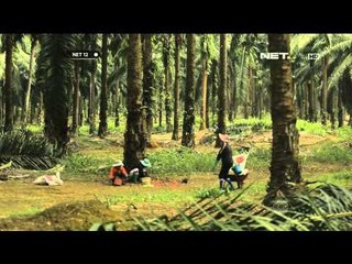 Relawan Pengajar Muda Di Pelosok Indonesia - NET12